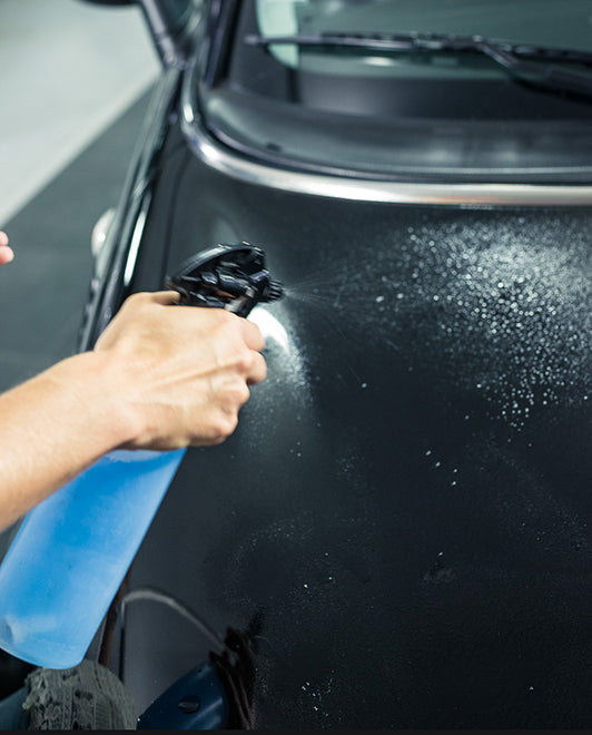 Gomme peinture ProTech® Monte-Carlo