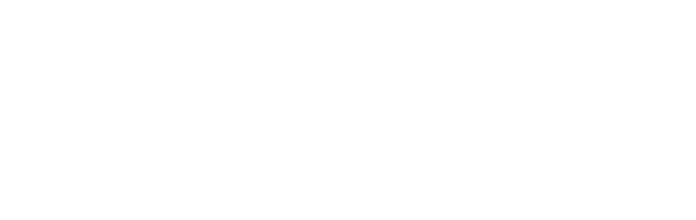 Logo PROTECH SAM